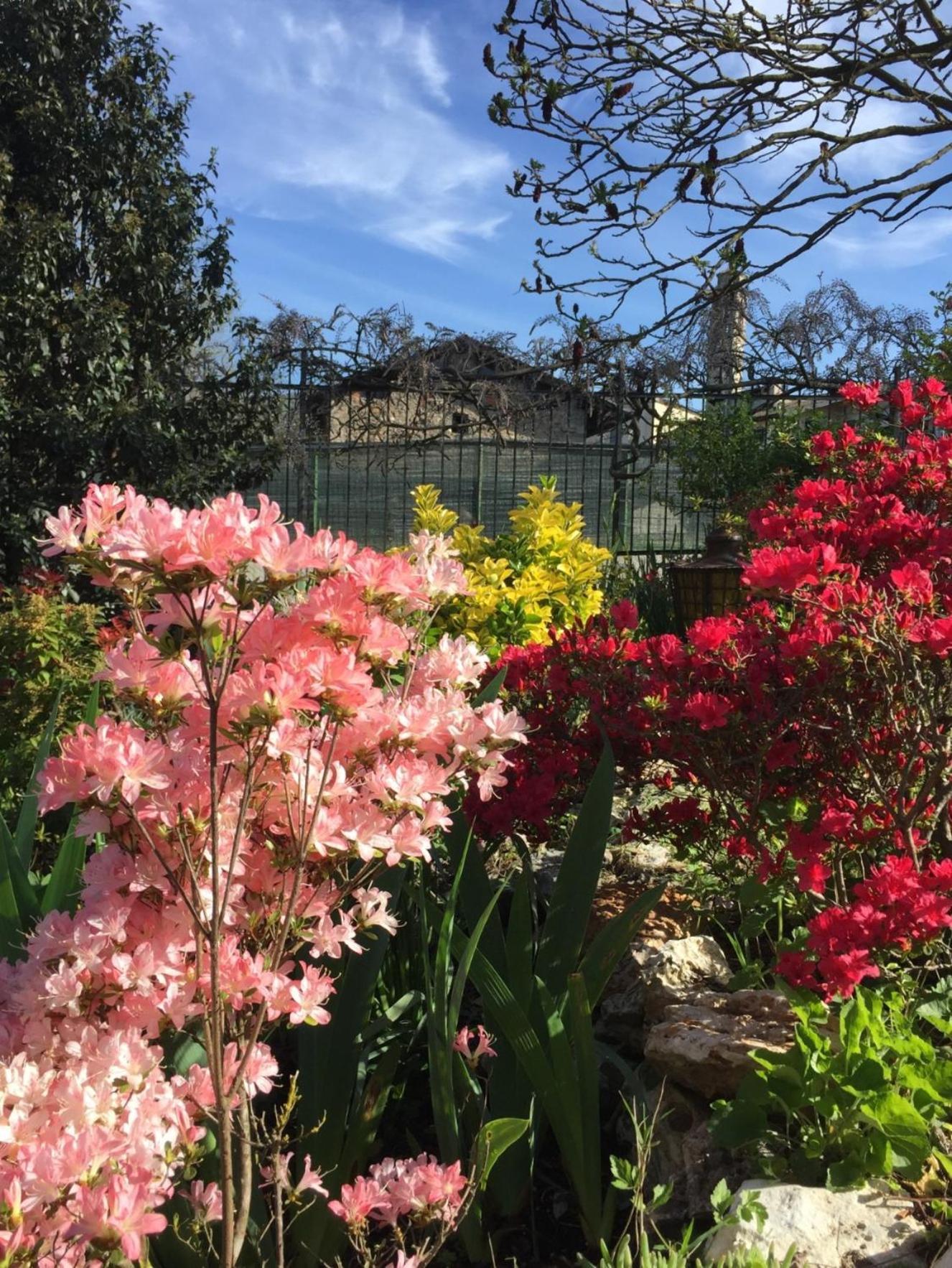 Le Bricolle Villa Viggiu Bagian luar foto