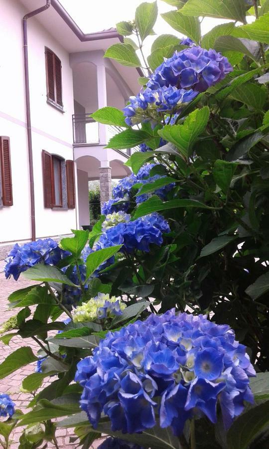 Le Bricolle Villa Viggiu Bagian luar foto